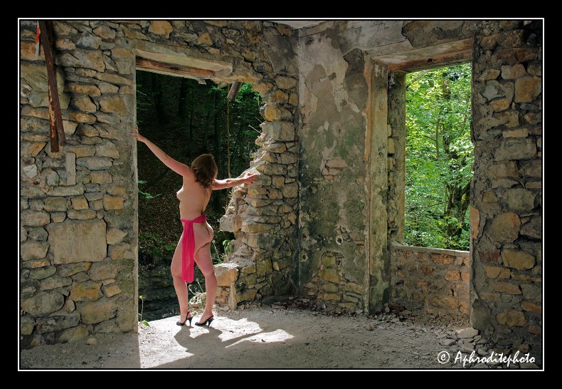 006 Ouverture sur la forêt 1
